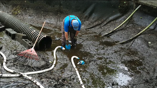 Pond Cleaning
